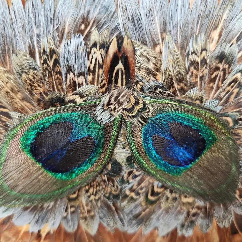 Vintage Peacock Feather Handbag 1950s 60s Real Feather Purse Gold Clasp